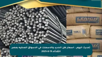 تحديث اليوم.. أسعار طن الحديد والأسمنت في الأسواق المحلية بمصر الثلاثاء 19-8-2025